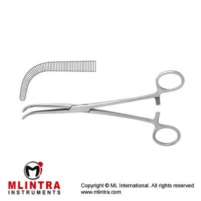 O'Shaugnessy Dissecting and Ligature Forcep Curved Stainless Steel, 26 cm - 10 1/4"